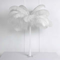 12 Pack White Natural Plume Ostrich Feathers Centerpiece Filler - 24"-26"