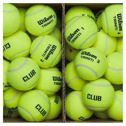 Triniti Club Ball Case