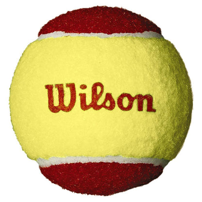 Starter Red 36 Count Stage 3 Tennis Ball