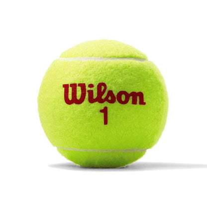 US Open Red Tournament Tennis Ball Case