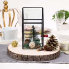 Rustic Poplar Wood Slices Round - Perfect Table Centerpieces for Weddings 12" Dia