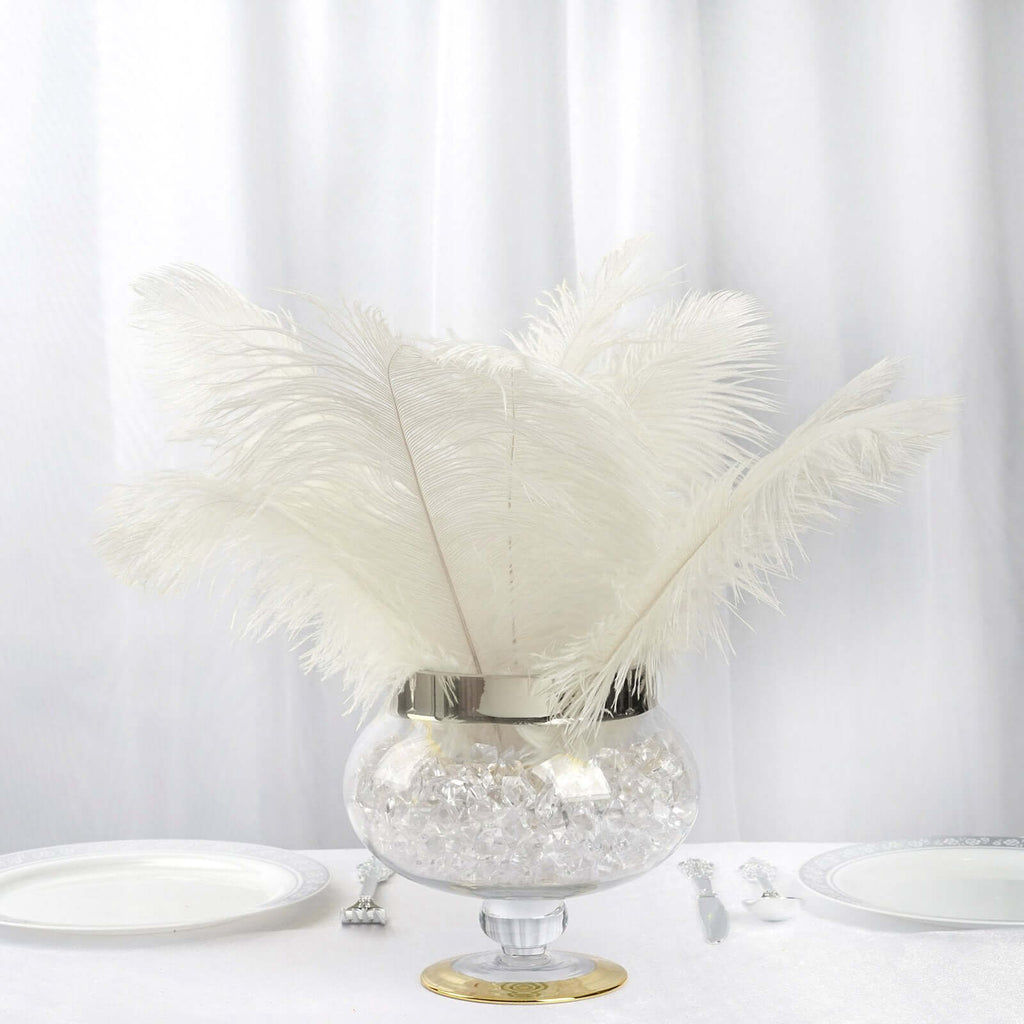 12 Pack 13"-15" Ivory Natural Plume Real Ostrich Feathers, DIY Centerpiece Fillers