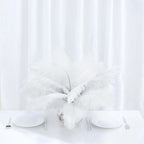 12 Pack 13"-15" White Natural Plume Real Ostrich Feathers, DIY Centerpiece Fillers