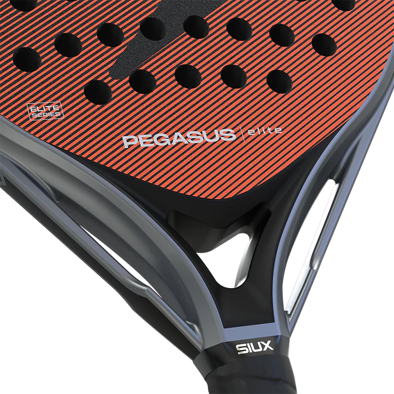 Pala Siux Pegasus Elite 4 2026 Palas Siux