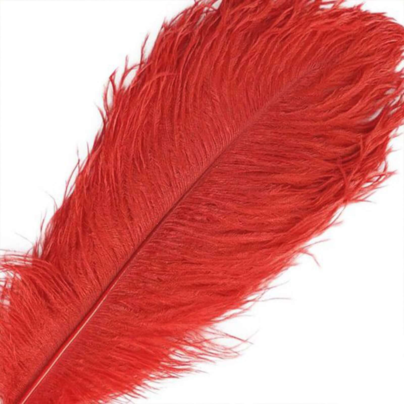 12 Pack 13"-15" Red Natural Plume Real Ostrich Feathers, DIY Centerpiece Fillers