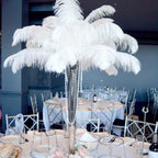 12 Pack 13"-15" White Natural Plume Real Ostrich Feathers, DIY Centerpiece Fillers