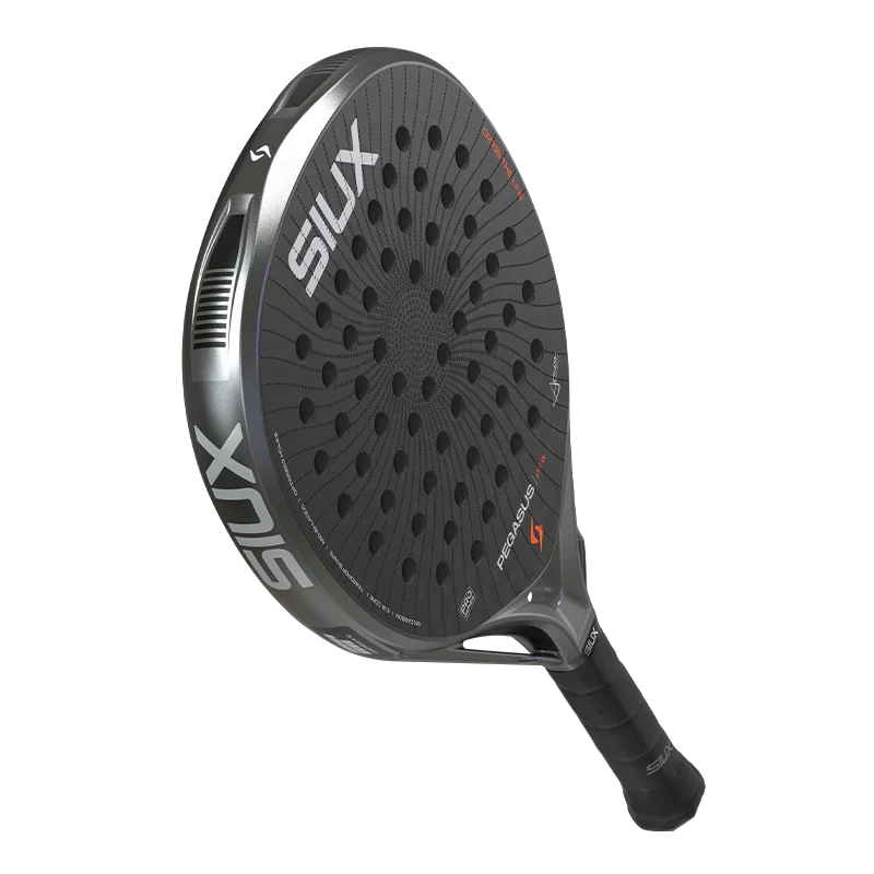 Pala Siux Pegasus Pro 2026 Strom Grey Palas Siux