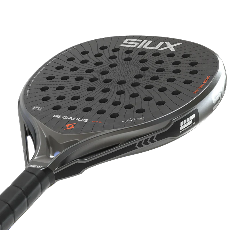 Pala Siux Pegasus Pro 2026 Strom Grey Palas Siux