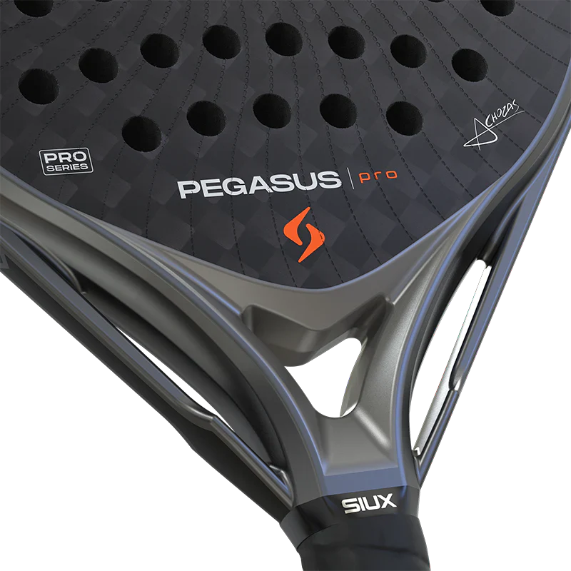 Pala Siux Pegasus Pro 2026 Strom Grey Palas Siux