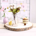 Rustic Poplar Wood Slices Round - Unique Decor for Tables & Events 15" Dia